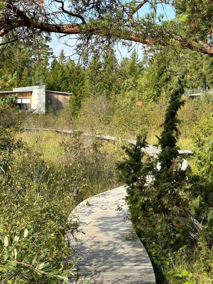 Maven Kustnaera Stugor Kappelshamn エクステリア 写真