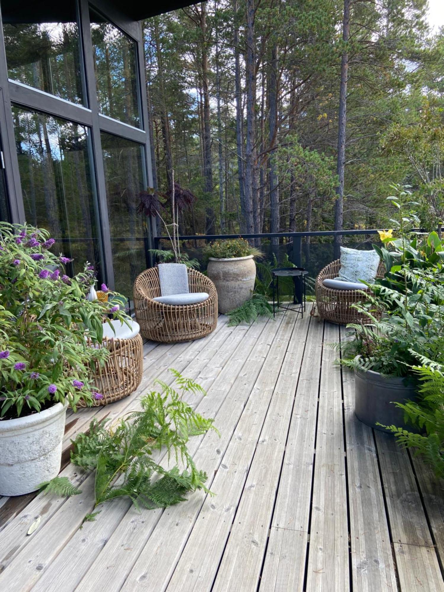 Maven Kustnaera Stugor Kappelshamn エクステリア 写真
