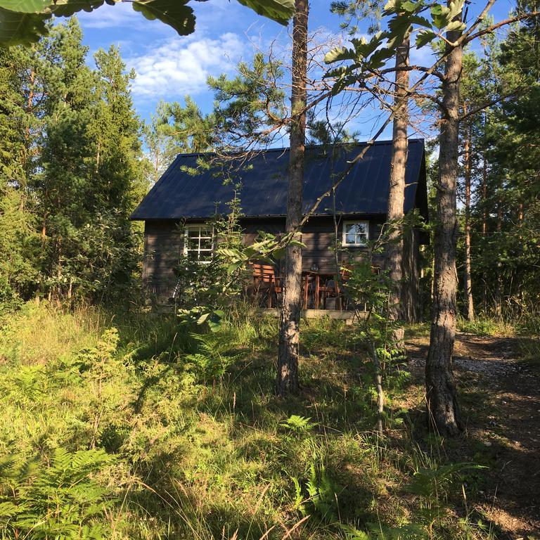 Maven Kustnaera Stugor Kappelshamn エクステリア 写真